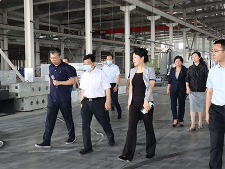 洛陽市長徐衣顯一行蒞臨鴻元軸承新廠項目建設現場考察